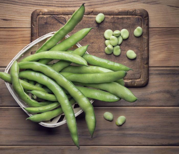 La siembra de habas de verdeo