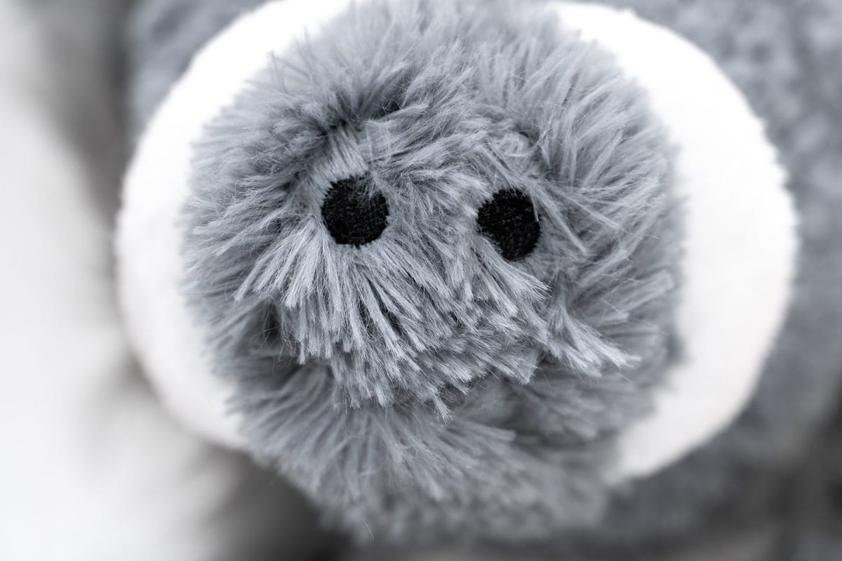 EDDIE MONSTRUITO - Imagen 4