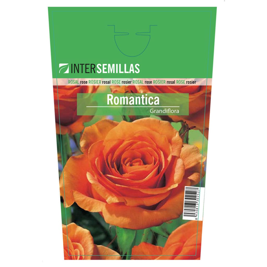 ROMANTICA
