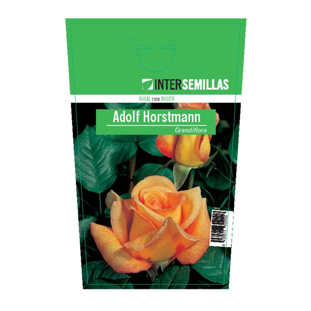 Rosal Adolf Horstman