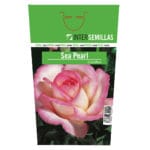 ROSAL SEA PEARL OLOROSO