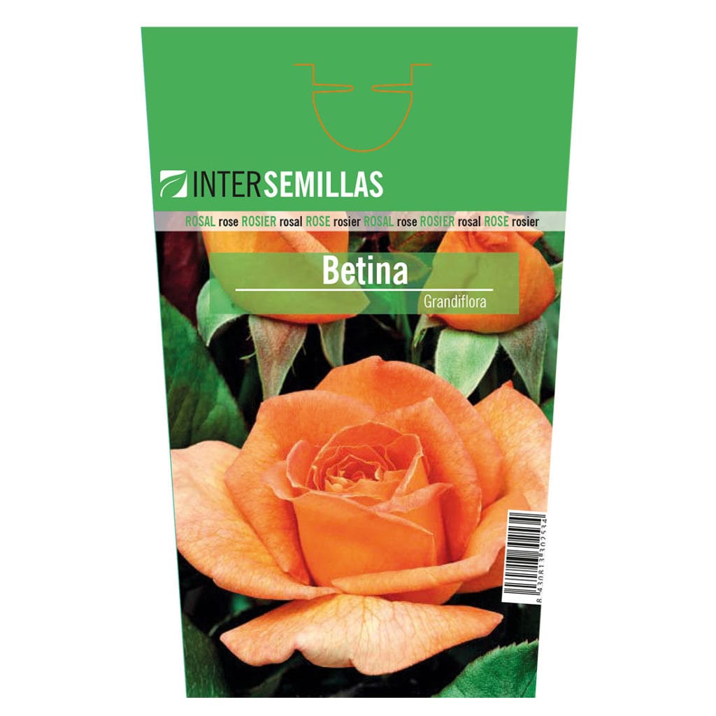 betina