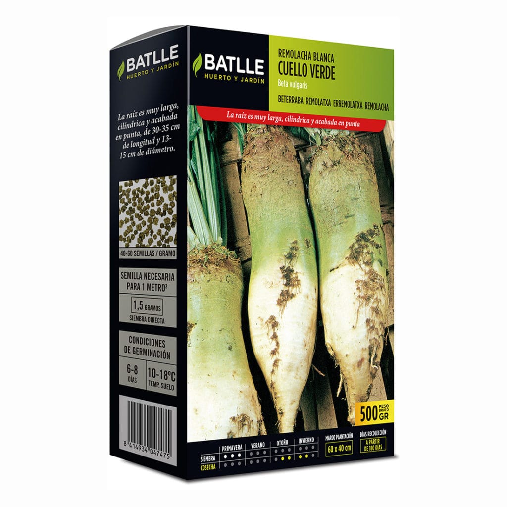 030504G500 REMOLACHA CUELLO VERDE