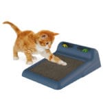 RASCADOR FLIPPER AZUL MARINO