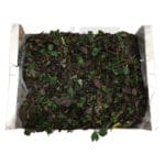 FRESAS 10 UNIDADES SAN ANDREAS - Imagen 4