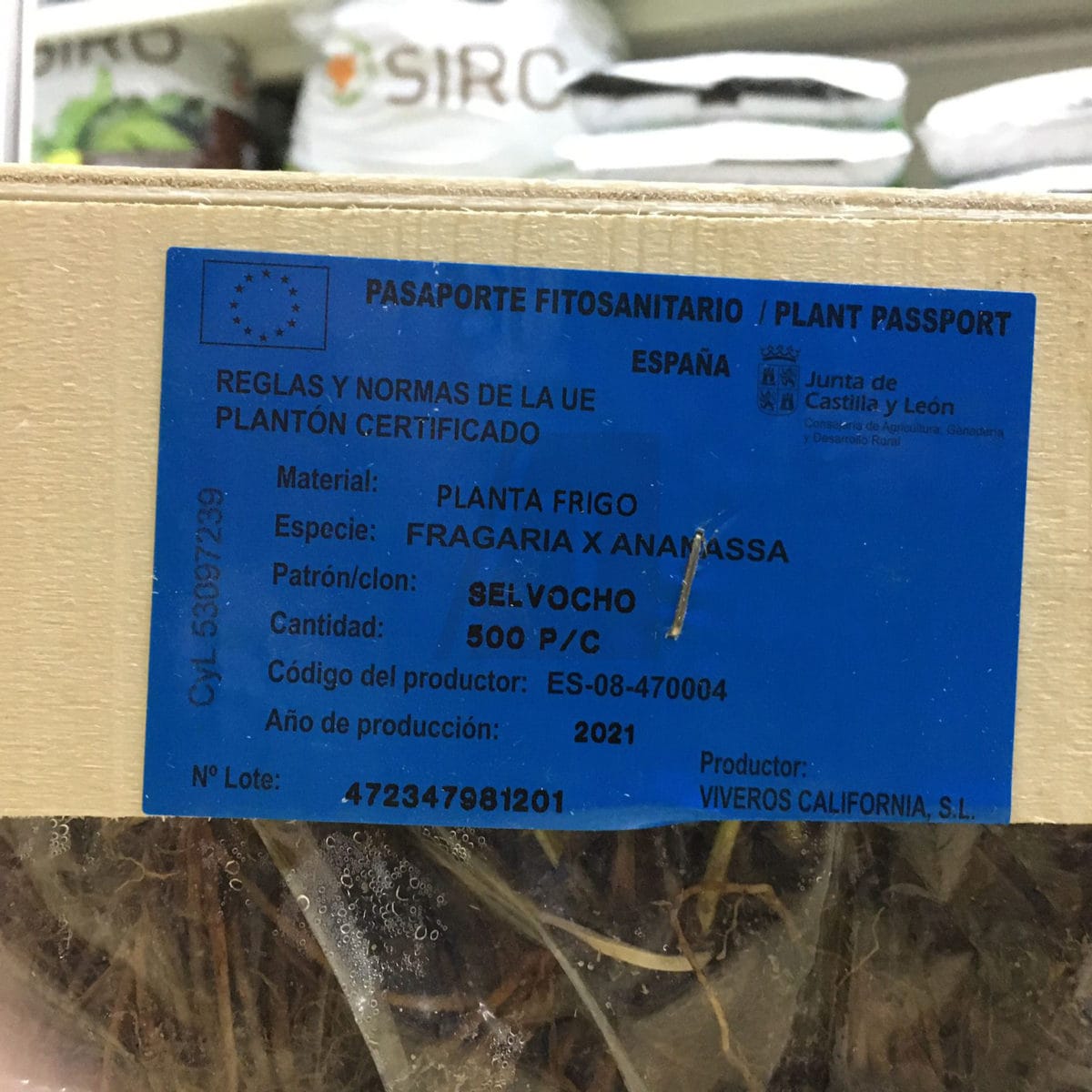 FRESAS 10 UNIDADES SAN ANDREAS - Imagen 7