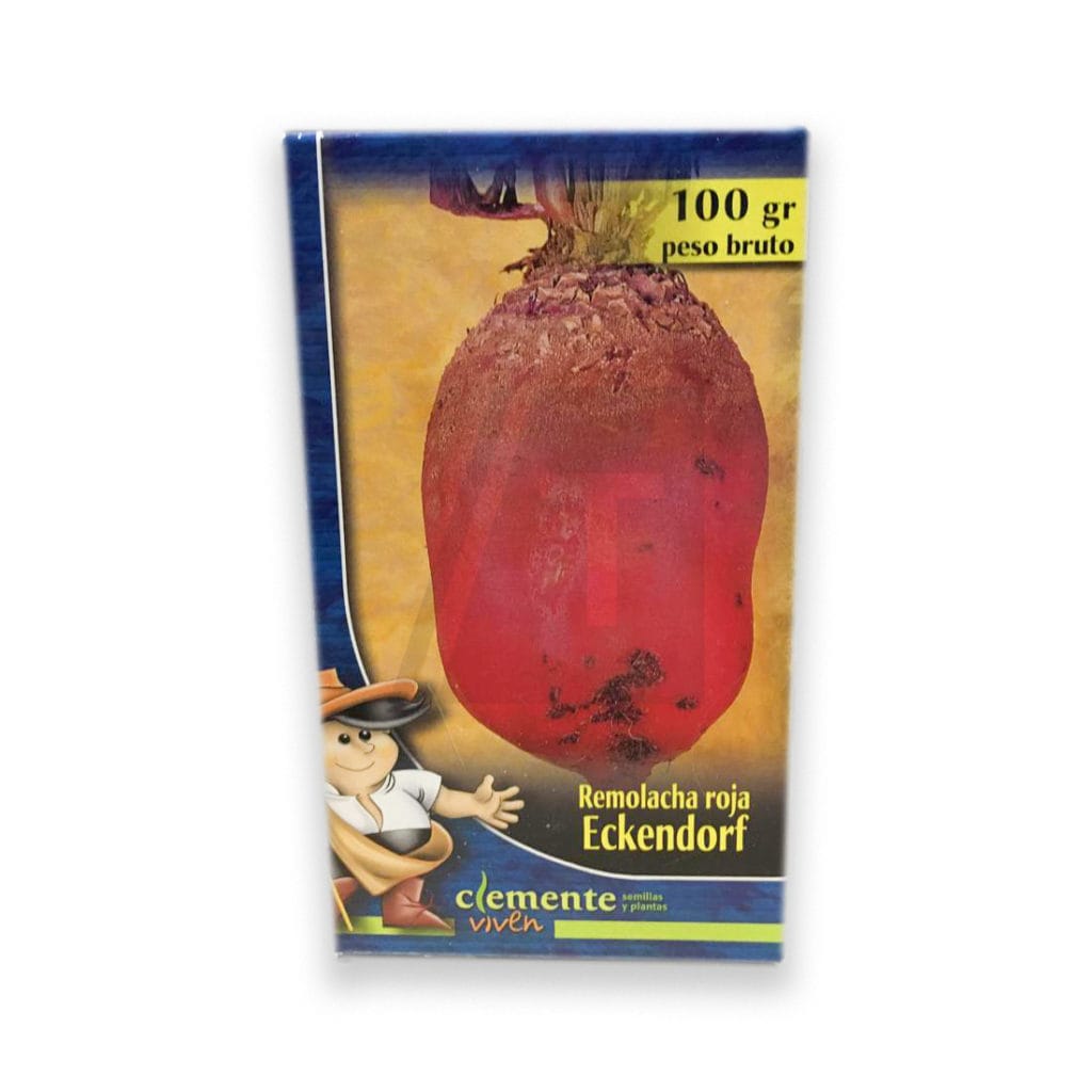 remolacha roja pequena