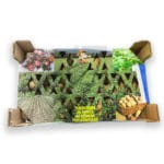 PATATA RED PONTIAC 100 BULBOS - Imagen 2