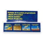 PATATA RED PONTIAC 100 BULBOS - Imagen 4