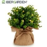 MACETA SACO FLOR PQ. AMARILLA