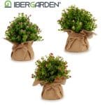 MACETA SACO FLOR PQ. AMARILLA - Imagen 3