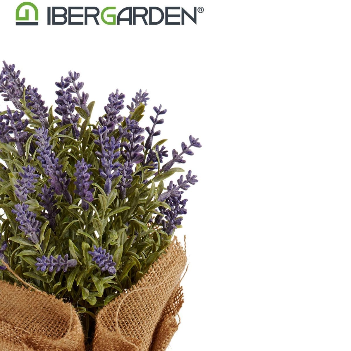 LAVANDA SACO 17X25 CM - Imagen 3