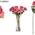 RAMA ROSA ROSA CLARO 10X10X65 CM