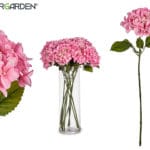 RAMA HORTENSIA ROSA 21X15X70