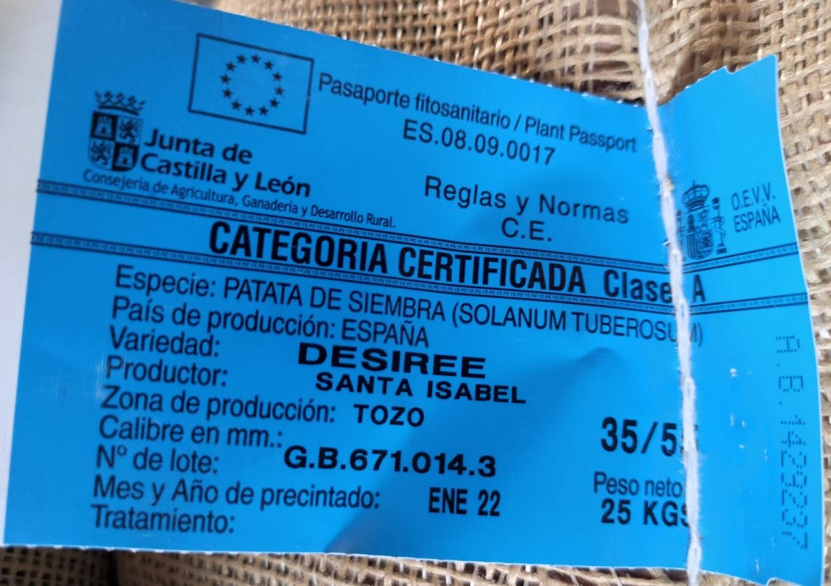 PATATA DESIREE 35/55 10 KG - Imagen 3