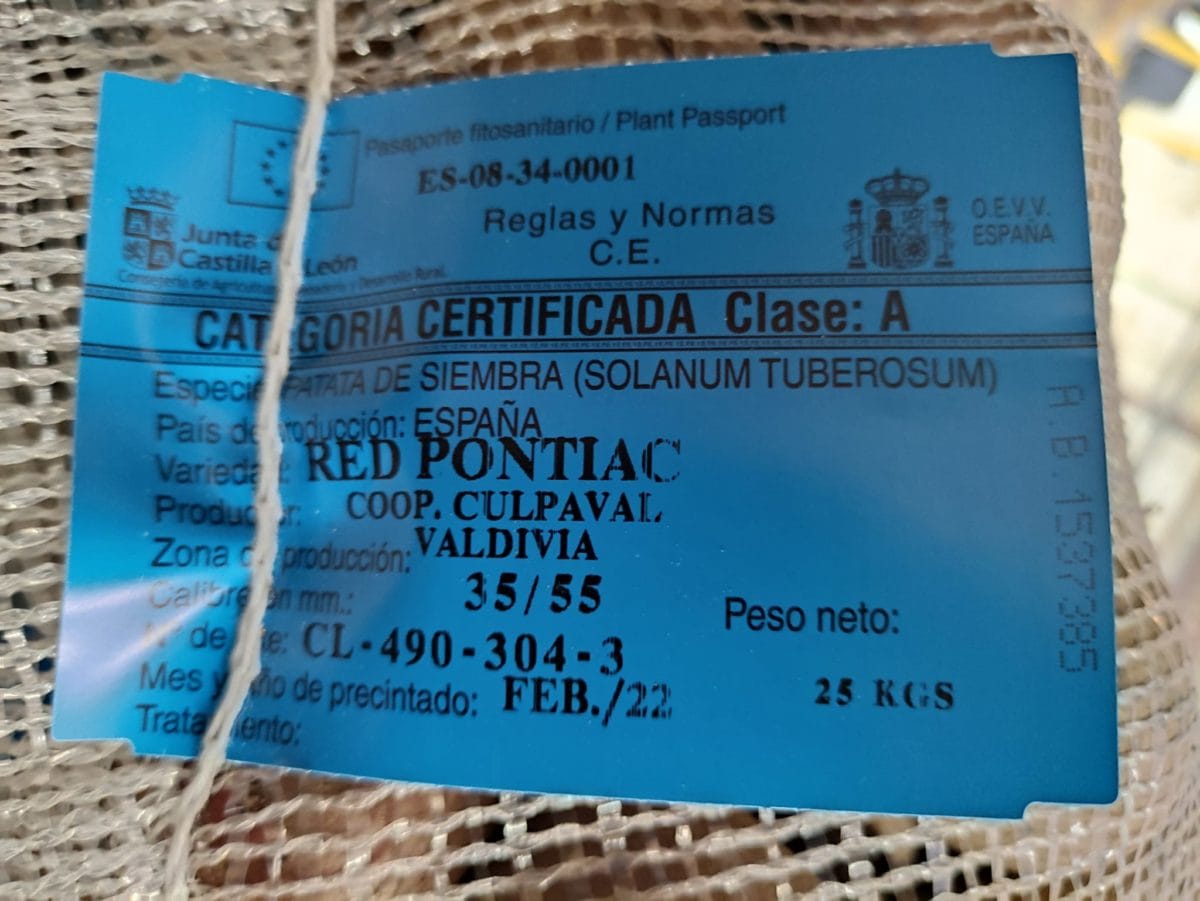 PATATA RED PONTIAC 20/35 25 KG. - Imagen 3