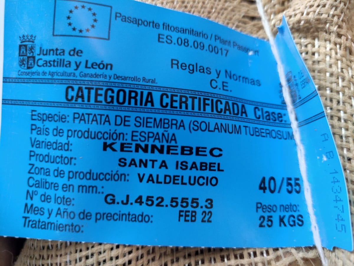 PATATA KENNEBEC 40/55 25 KG. - Imagen 2
