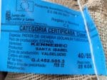 PATATA KENNEBEC 40/60 10 KG. - Imagen 2