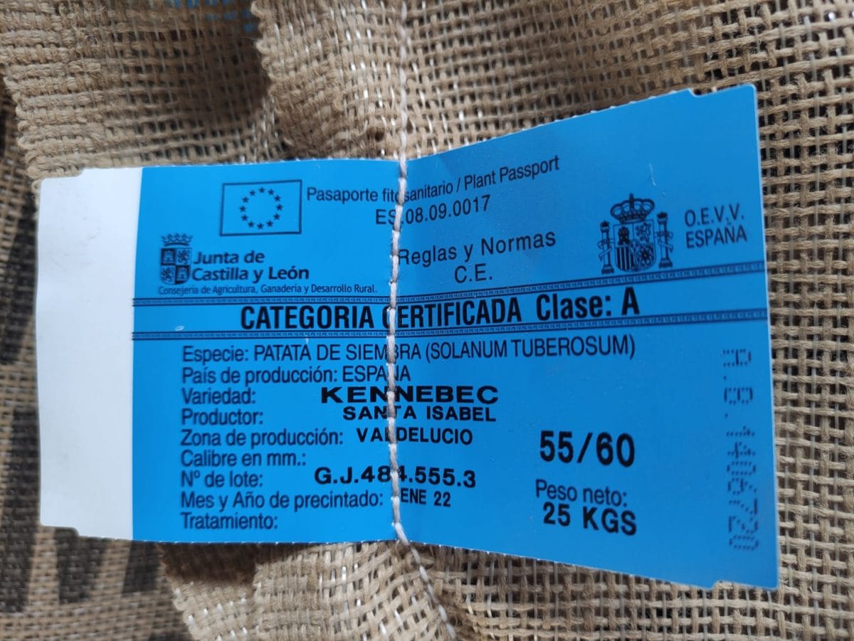 PATATA KENNEBEC 55/60 25 KG. - Imagen 2