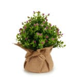 MACETA SACO FLOR PQ. ROSA JASPE