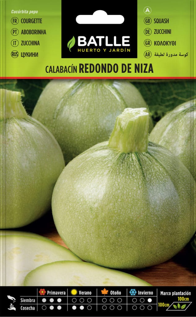 011107bols calabacin redondo de niza