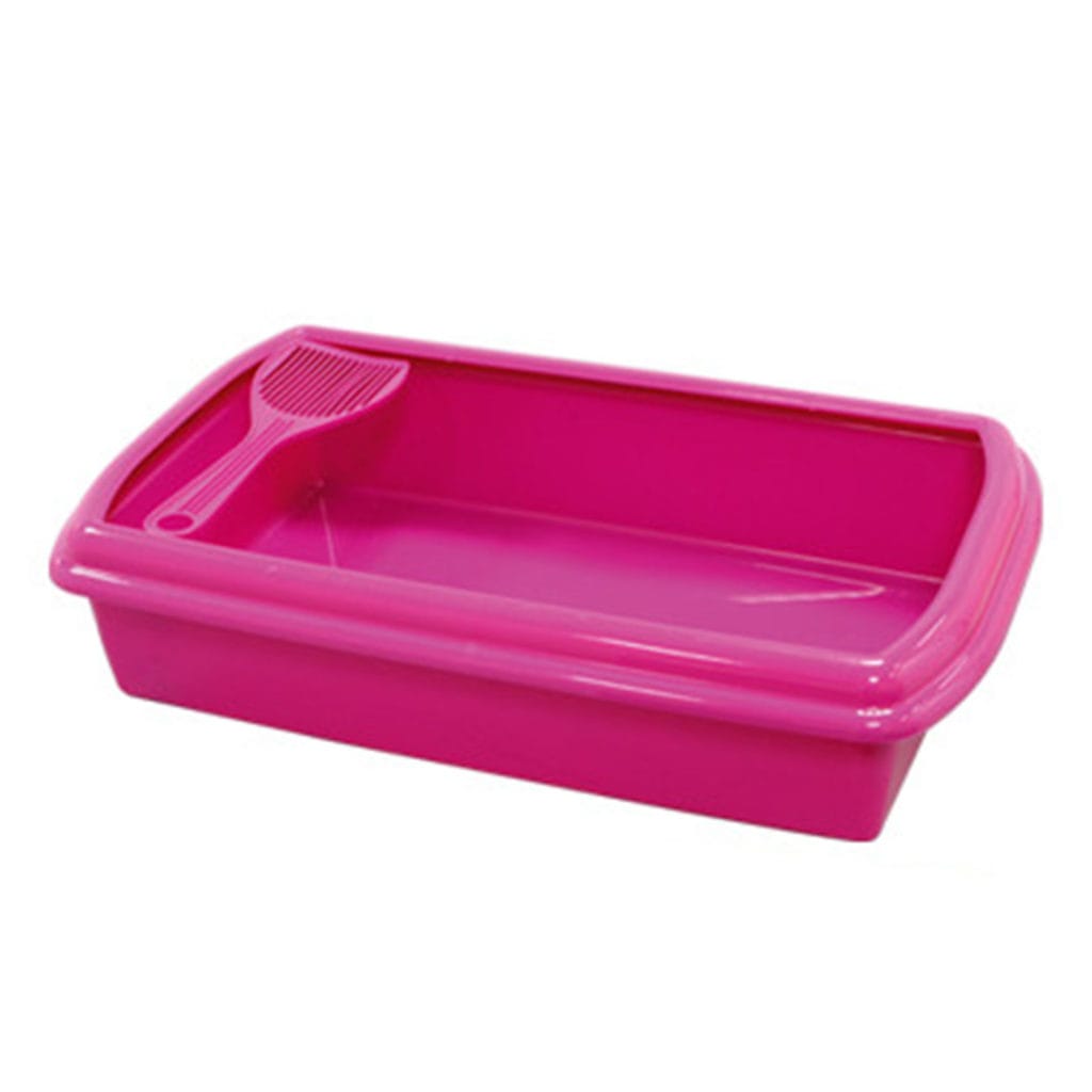 1580344 large default fuxia