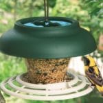 COMEDERO BREAK VERDE