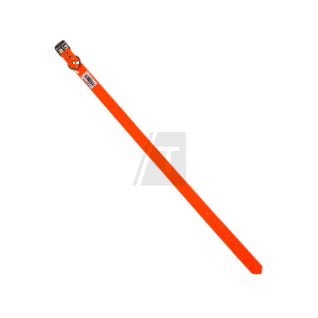 collar naranja 1