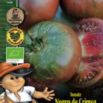 TOMATE NEGRO DE CRIMEA ECOLOGICO