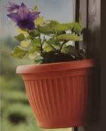 MACETA PARED 27 CM. - Imagen 2