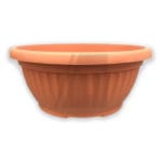 TARRINA 35 CMS. MISA