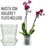 MACETA VIDRIO C/ PLATO ROMBOS