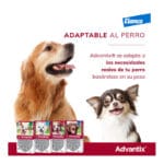 ADVANTIX +25 KG 1 UNIDAD - Imagen 6