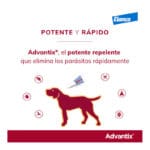 ADVANTIX +25 KG 1 UNIDAD - Imagen 7