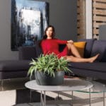 CIOTOLA 24 CM TRANSPARENTE - Imagen 2