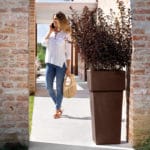 POT BRO. GEMINI H-70 CM. - Imagen 2