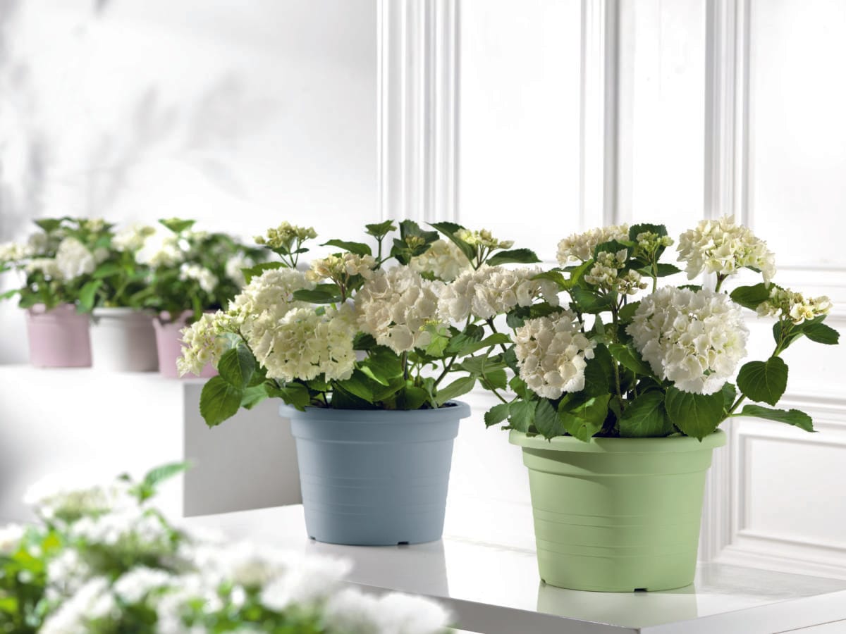 CILINDRO PASTELLO VASO CILINDRO 30 CM AZZURRO - Imagen 2