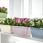 JARD. 50X20 ROSA PASTELLO - Imagen 3