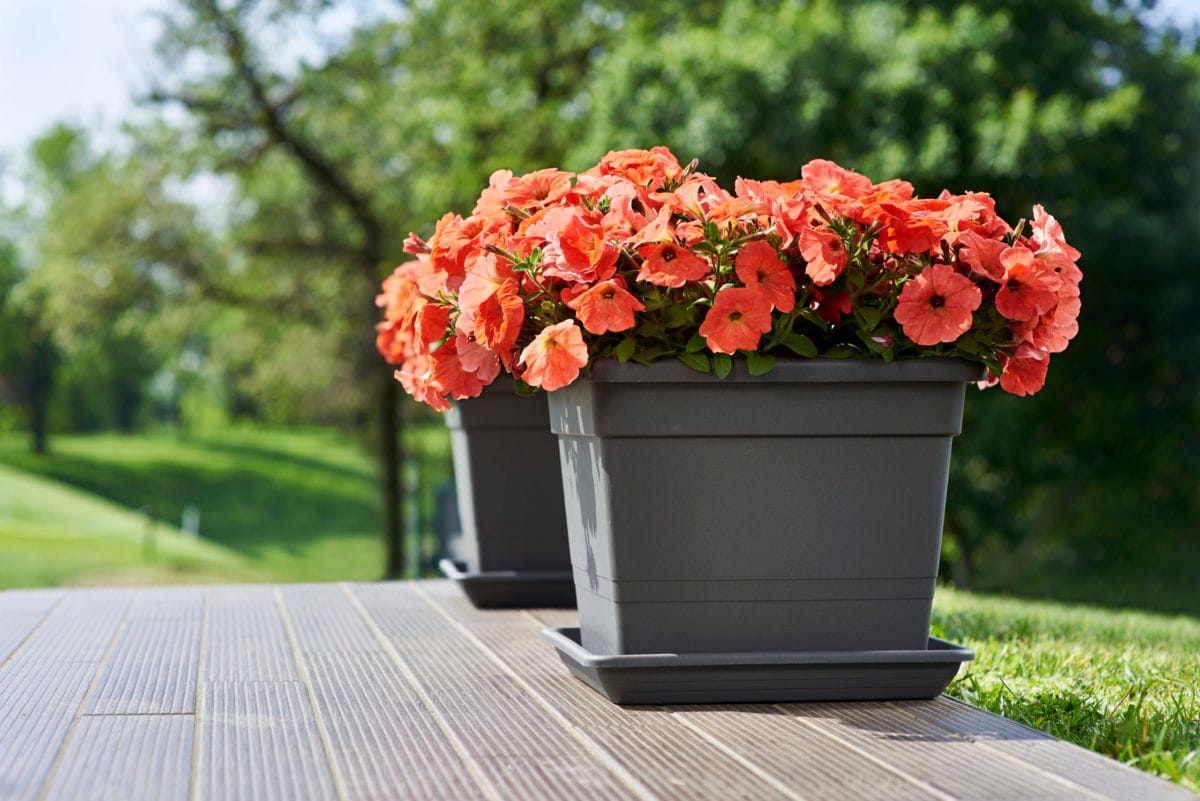 MACETA R.M. 32 CM CUADRADA - Imagen 2