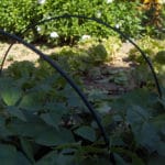 ARCO FLEXIBLE 2,5 M. 12 MM. 1 UD - Imagen 4