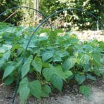 ARCO FLEXIBLE 2,5 M. 12 MM. 1 UD - Imagen 3