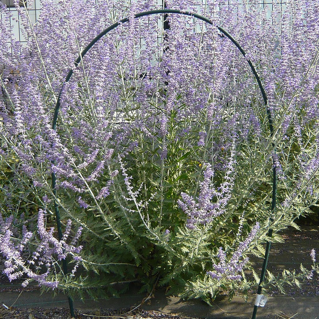 VB04001 3585150000331 ARCEAU FLEXIBLE PVC en situation 4