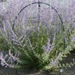 ARCO FLEXIBLE 2,5 M. 12 MM. 1 UD - Imagen 2