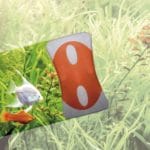 LIMPIA ALGAS MAG. BICOLOR - Imagen 2