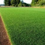 RAYGRASS INGLES 1 KG.