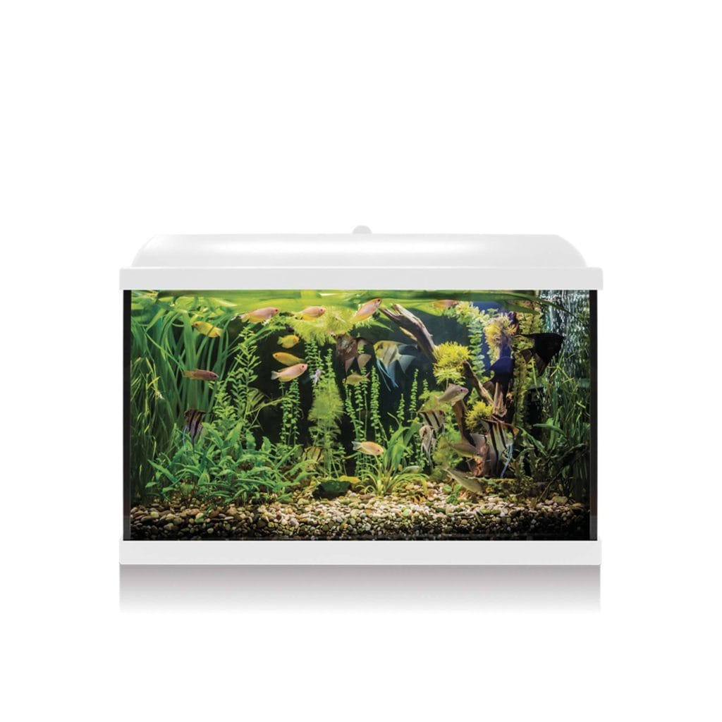 KIT AQUALED 68 L. BLANCO