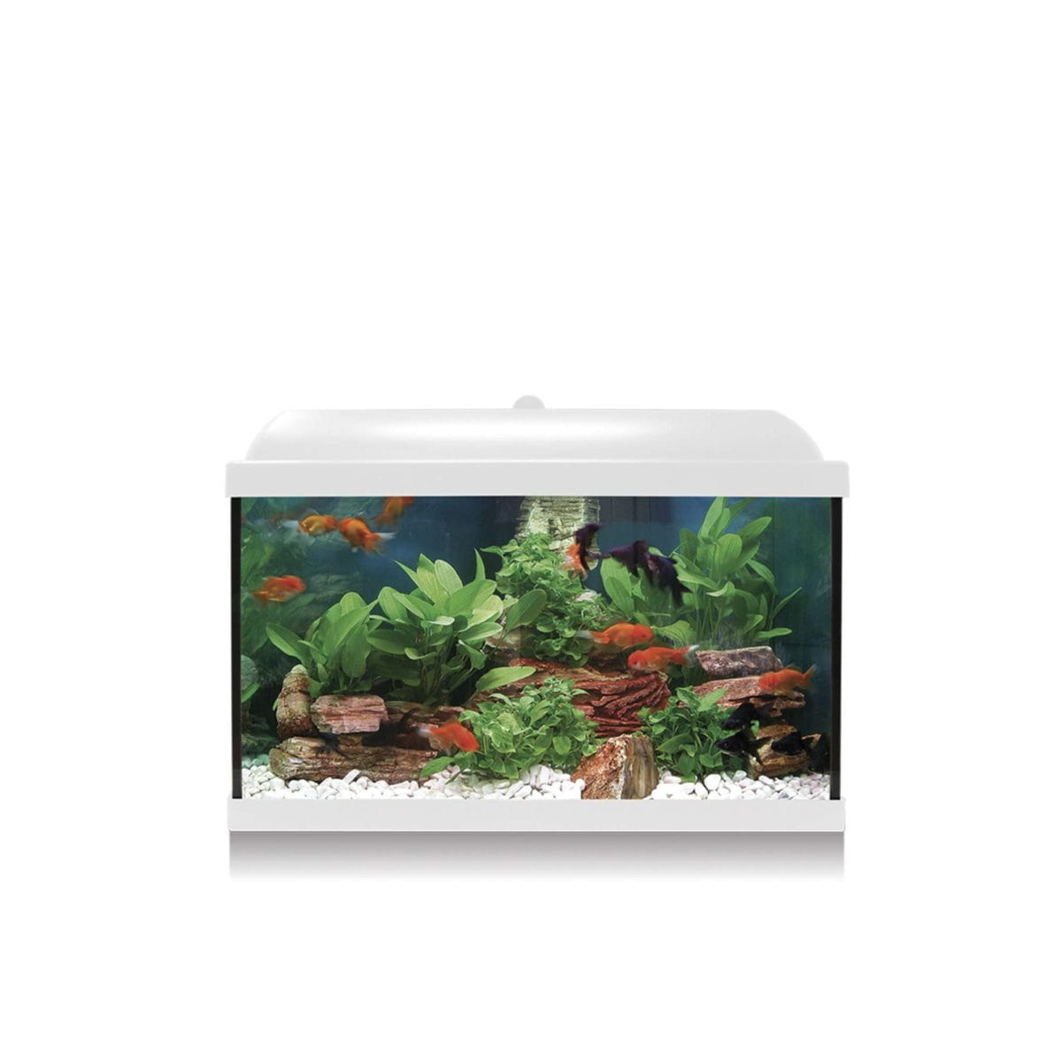 KIT AQUALED BLANCO 45 CMS - Imagen 1