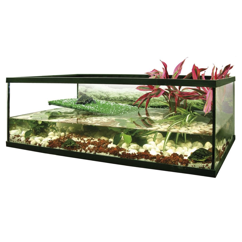 TORTUGUERA FLORIDA 40