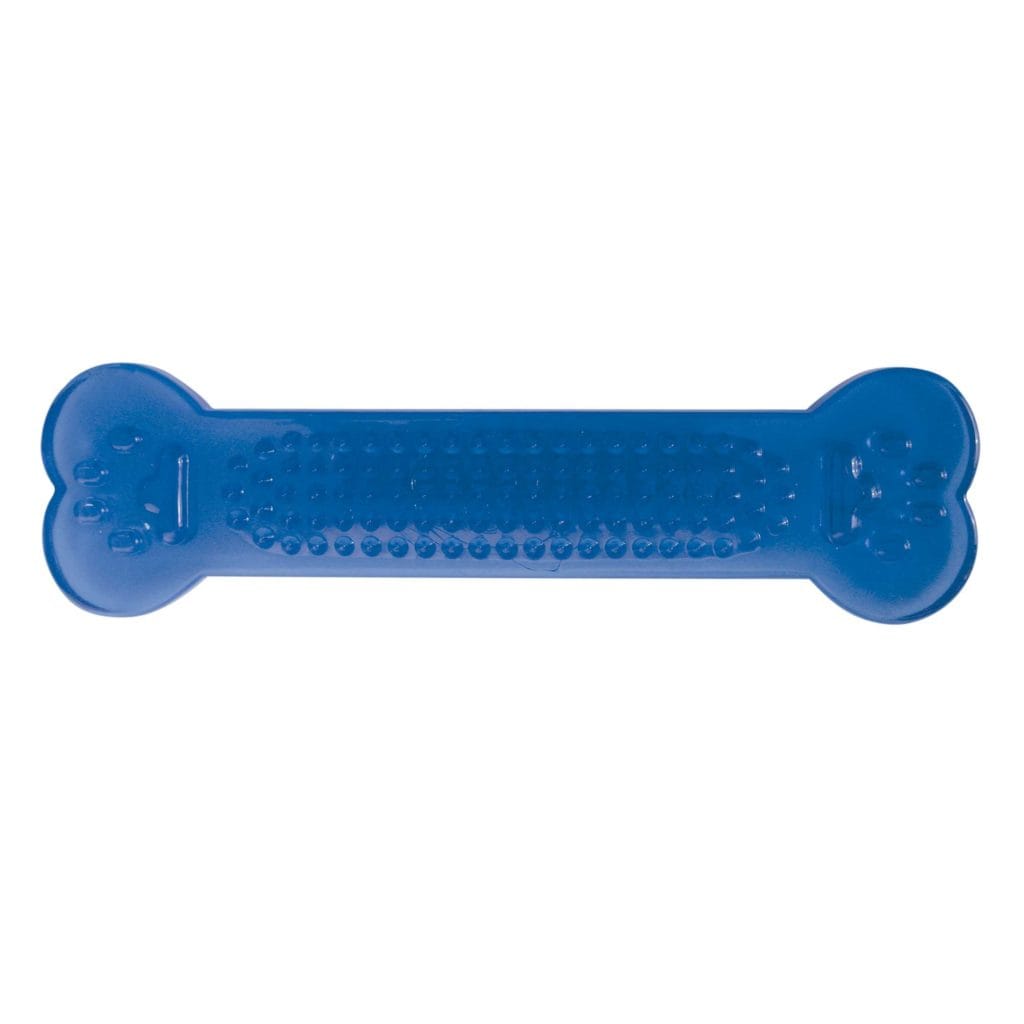 h6118 hueso dental bone general 2579