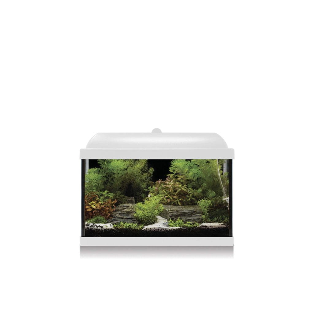 kdi25b kit aqua led pro 25 con filtro interior 25 l general 10532